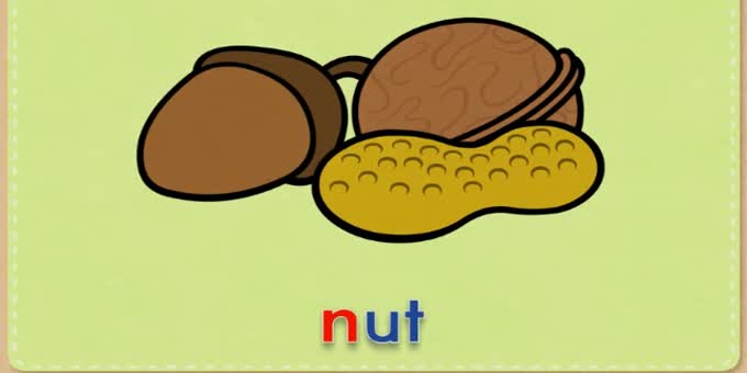 n-nut(坚果)