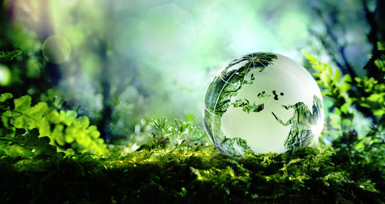 珍爱美丽地球,守护自然资源